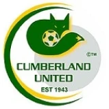 Logo local