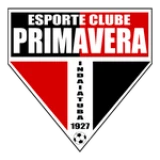 Logo visitante