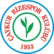 Escudo de Rizespor