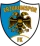 Escudo de Erzurumspor FK