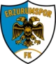 Escudo de Erzurumspor FK