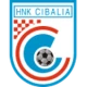 Escudo de HNK Cibalia