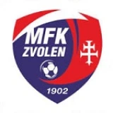 Logo fondo visitante