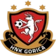 Escudo de HNK Gorica
