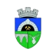 Logo local