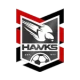 Logo local