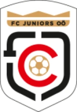Logo fondo visitante