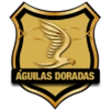 Logo fondo visitante