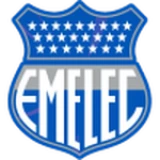Logo fondo visitante