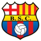 Logo fondo visitante