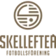 Escudo de Skellefteå