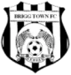 Escudo de Brigg Town