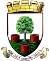 Logo local