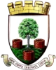 Escudo del Wells City