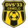 DVS 33 Ermelo