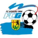 Logo fondo visitante