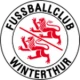 Escudo de Winterthur II