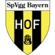 Logo local