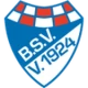 Escudo de Brinkumer SV