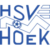 Logo fondo visitante