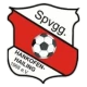 Escudo de Hankofen-Hailing