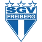 Logo fondo visitante