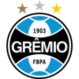 Logo fondo visitante