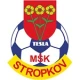 Escudo de MSK Tesla Stropkov