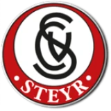 Logo fondo visitante