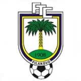 Logo fondo visitante