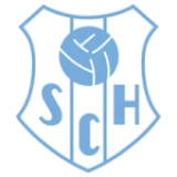 Logo fondo visitante