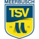 Logo local