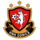 Escudo de Gori