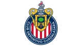 Logo fondo visitante
