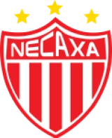 Logo fondo visitante