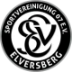Escudo de Elversberg II