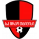 Escudo de Irao