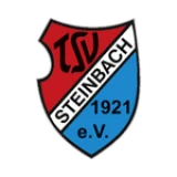 Logo fondo visitante