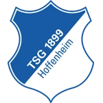 1899 Hoffenheim logo