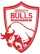 Escudo de Jersey Bulls