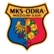 Logo local