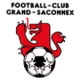 Logo fondo visitante