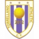 Escudo del Torrellano