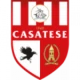 Escudo del USD Casatese