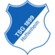 Escudo del 1899 Hoffenheim W