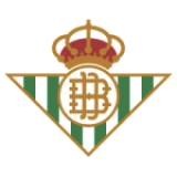 Logo fondo visitante