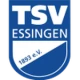 Logo visitante