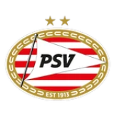 Logo fondo visitante