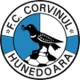 Escudo de Corvinul Hunedoara