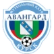 Escudo de Avangard Kursk